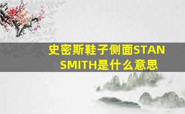 史密斯鞋子侧面STAN SMITH是什么意思